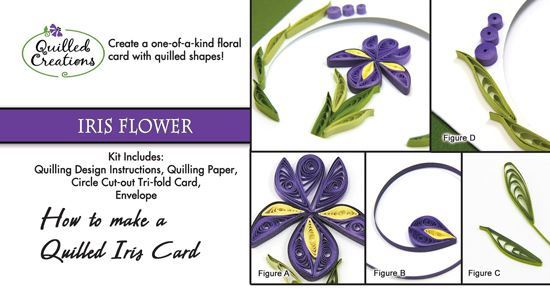 Iris Flower Quilling Card Kit | Quilled Creations Quilling Supplies