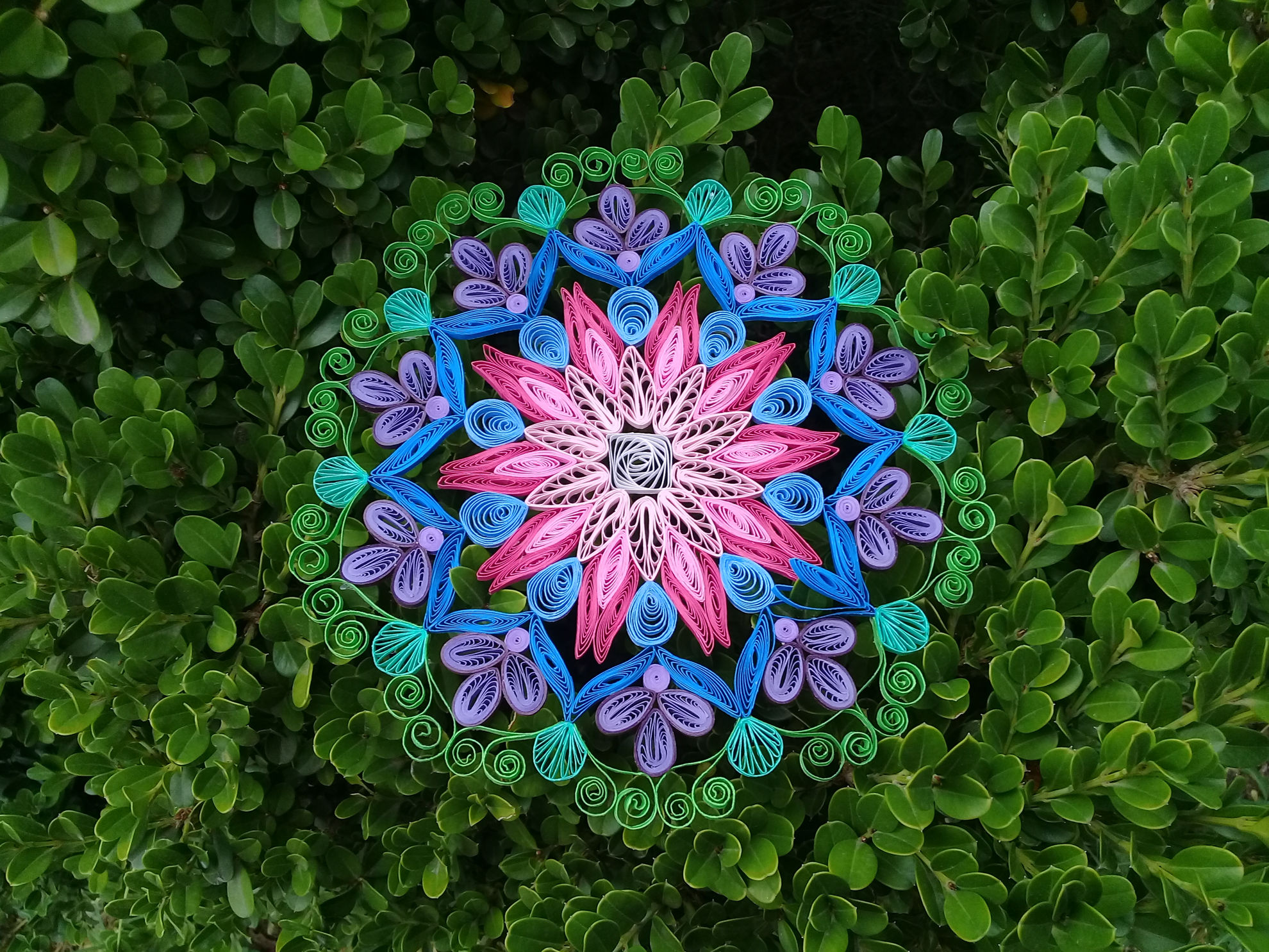 Quilled Creations Quilling Supplies